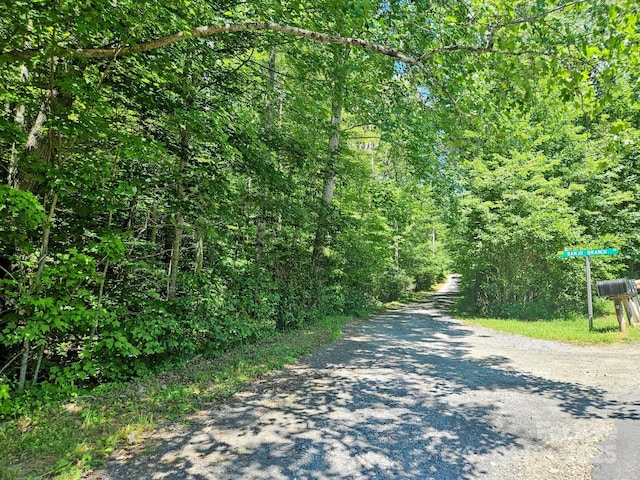 99 Banjo Branch Rd, Burnsville, NC 28714 - photo 9