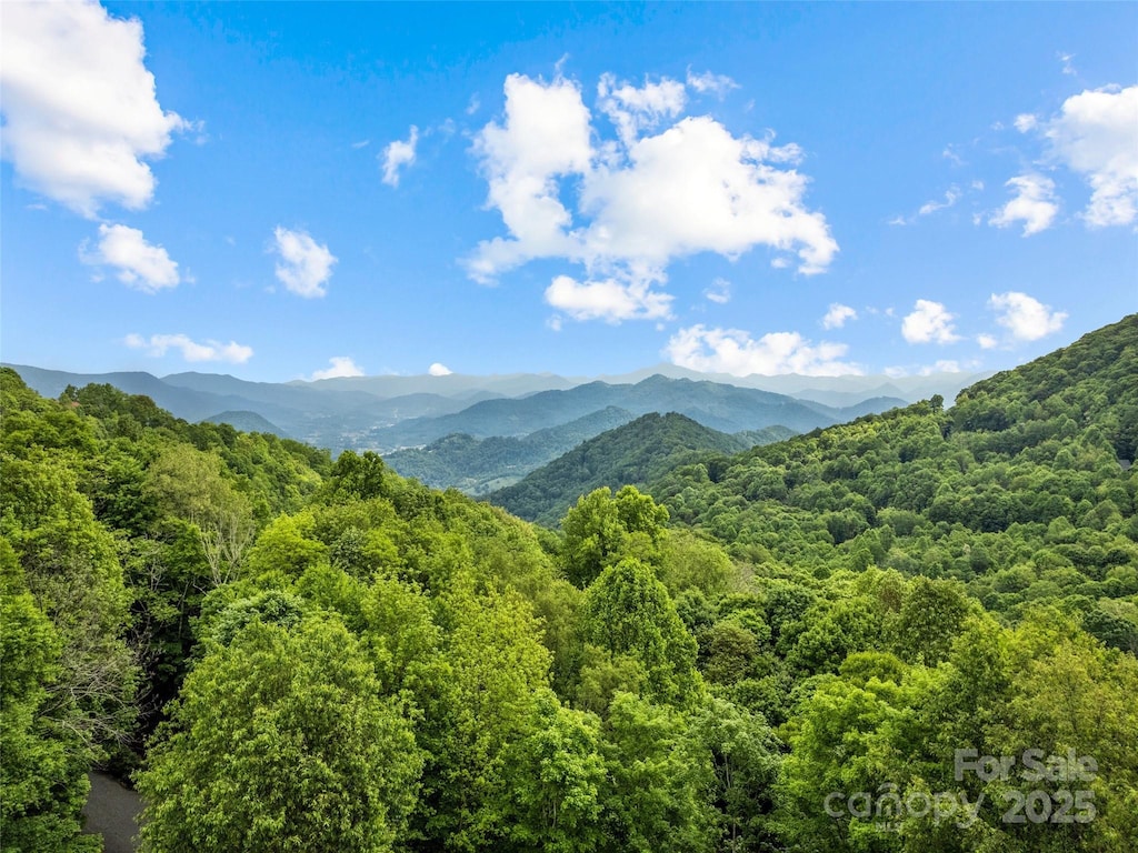 LOTE2 Unula Loop Unit E-2, Maggie Valley, NC 28751 - photo 1