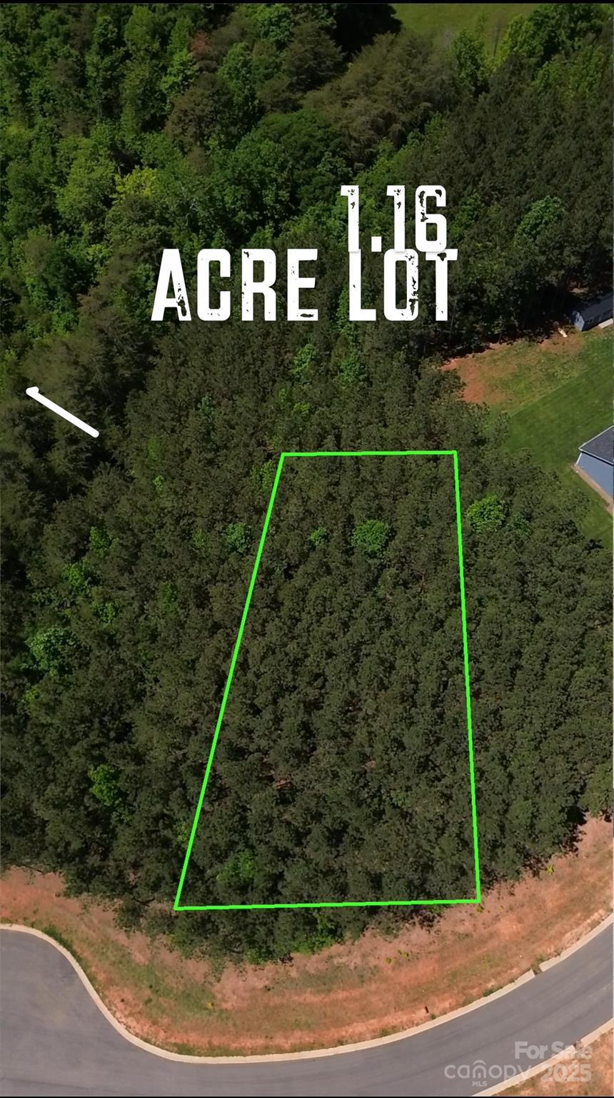 1364 Sage Pine Cir, Clover, SC 29710 - photo 1
