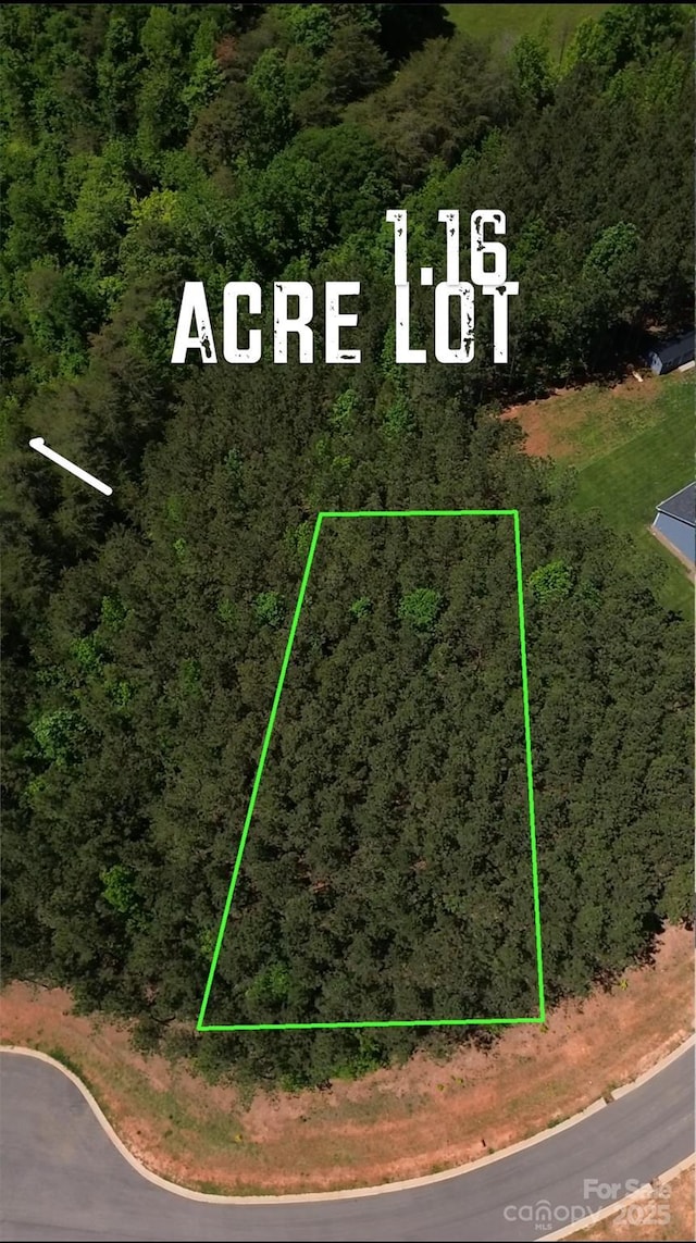 1364 Sage Pine Cir, Clover, SC 29710 - photo 1