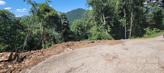 33 Destination Dr, Waynesville, NC 28786 - photo 2