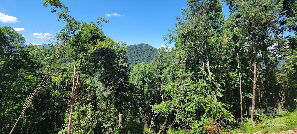 33 Destination Dr, Waynesville, NC 28786 - photo 4