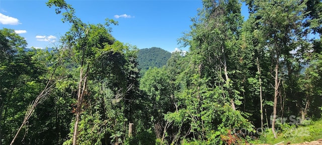 33 Destination Dr, Waynesville, NC 28786 - photo 4