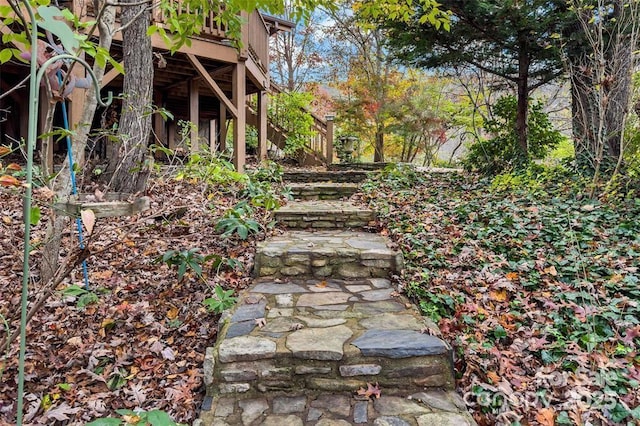 163 Gypsy Mountain Rd, Marion, NC 28752 - photo 28