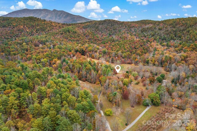 163 Gypsy Mountain Rd, Marion, NC 28752 - photo 33