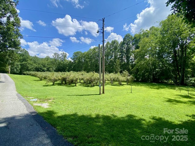 163 Gypsy Mountain Rd, Marion, NC 28752 - photo 42