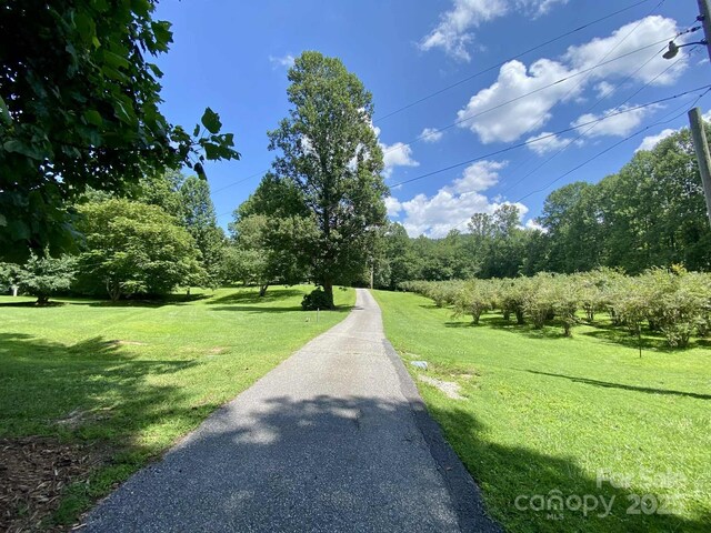 163 Gypsy Mountain Rd, Marion, NC 28752 - photo 43