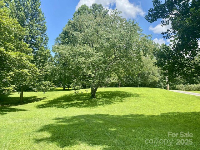 163 Gypsy Mountain Rd, Marion, NC 28752 - photo 47