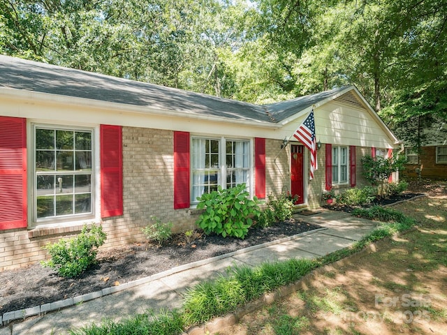 8128 Blairtree Ct, Charlotte, NC 28227 - photo 5
