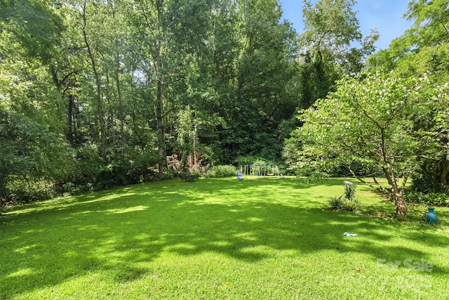 110 N Bear Creek Rd, Asheville, NC 28806 - photo 2
