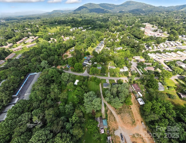 110 N Bear Creek Rd, Asheville, NC 28806 - photo 31