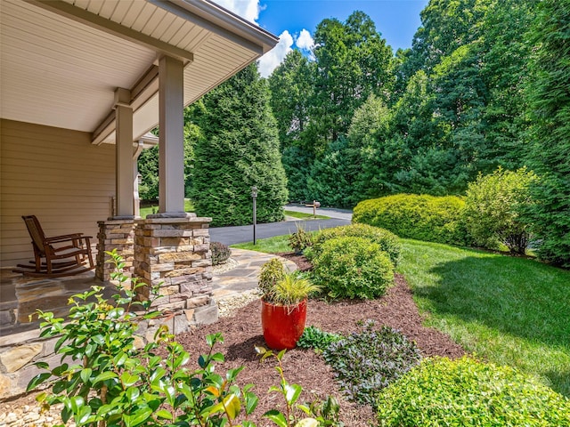 547 Pinnacle Peak Ln, Flat Rock, NC 28731 - photo 4