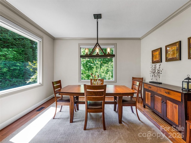 547 Pinnacle Peak Ln, Flat Rock, NC 28731 - photo 6
