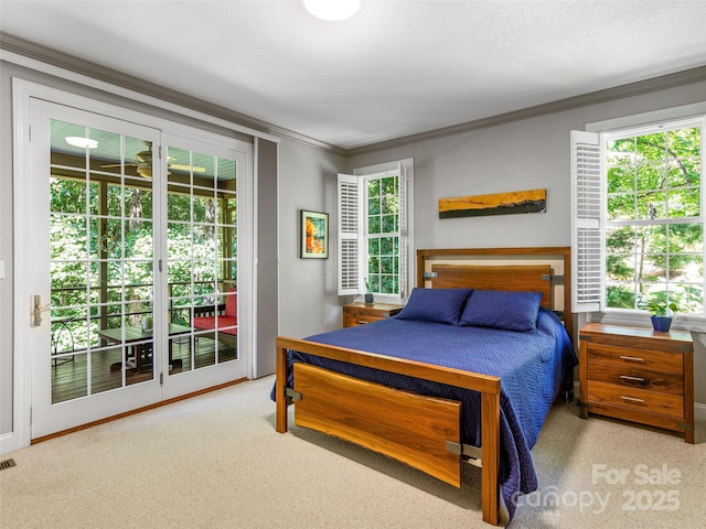 547 Pinnacle Peak Ln, Flat Rock, NC 28731 - photo 21