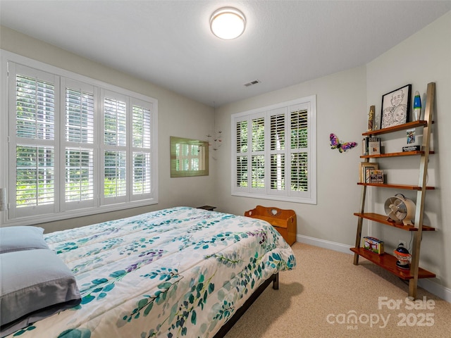 547 Pinnacle Peak Ln, Flat Rock, NC 28731 - photo 29