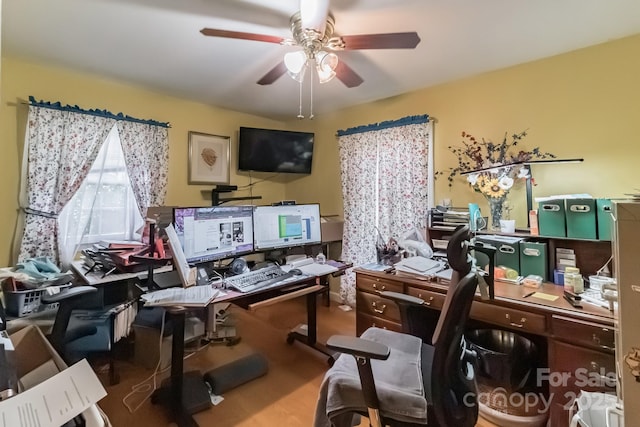 6130 Williams Rd, Charlotte, NC 28215 - photo 6