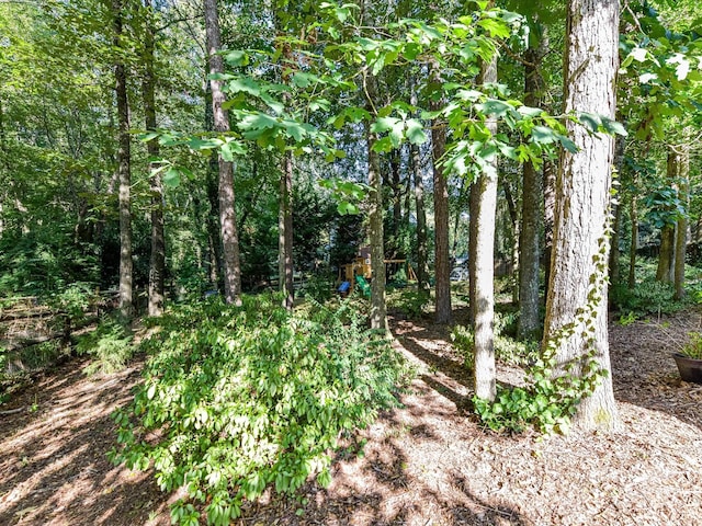 2625 Bathgate Ln, Matthews, NC 28105 - photo 34