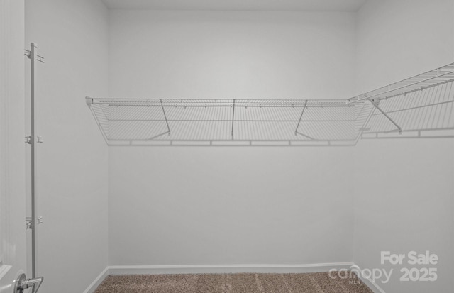 11416 Glasden Rd Unit 511, Charlotte, NC 28278 - photo 9