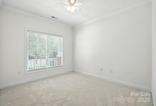 1109 Curry Way, Matthews, NC 28104 - photo 19