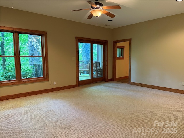321 Sunset Point Rd, Burnsville, NC 28714 - photo 14