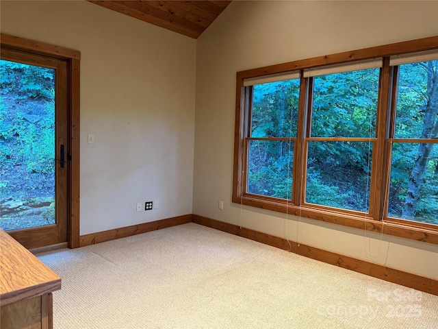 321 Sunset Point Rd, Burnsville, NC 28714 - photo 17