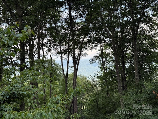 321 Sunset Point Rd, Burnsville, NC 28714 - photo 28