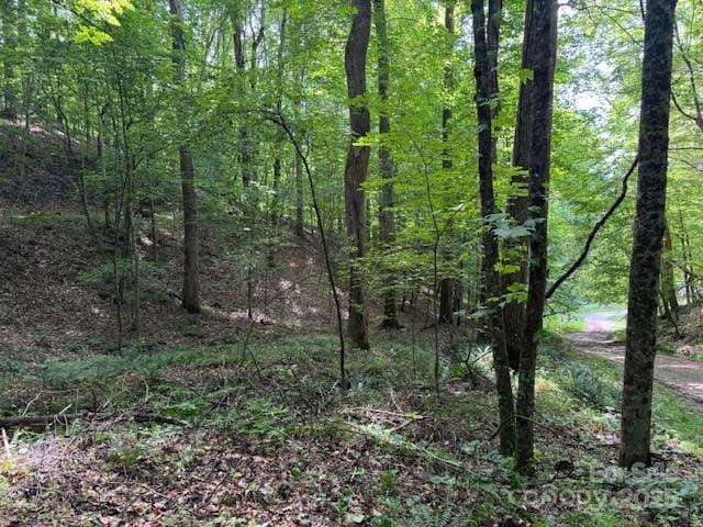 0 Cane Mountain Ln, Burnsville, NC 28714 - photo 2