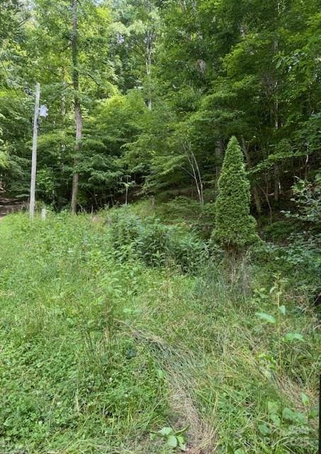 0 Cane Mountain Ln, Burnsville, NC 28714 - photo 3