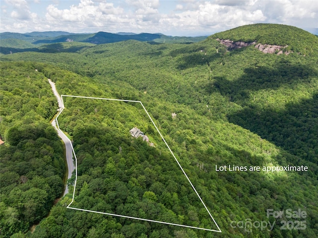 770 Meadow Ridge Dr, Lake Toxaway, NC 28747 - photo 3