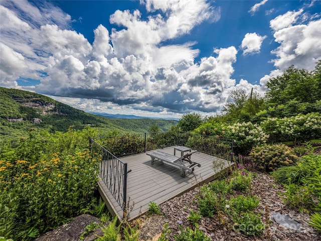 770 Meadow Ridge Dr, Lake Toxaway, NC 28747 - photo 41