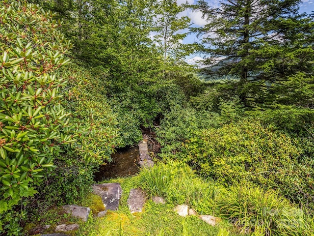 770 Meadow Ridge Dr, Lake Toxaway, NC 28747 - photo 44