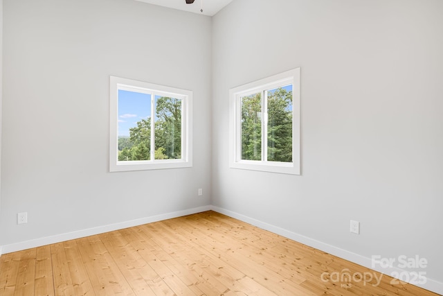 108 Lager Ln, Asheville, NC 28806 - photo 24