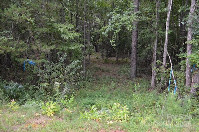 0 Old Morganton Rd, Union Mills, NC 28139 - photo 2