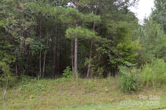 0 Old Morganton Rd, Union Mills, NC 28139 - photo 4