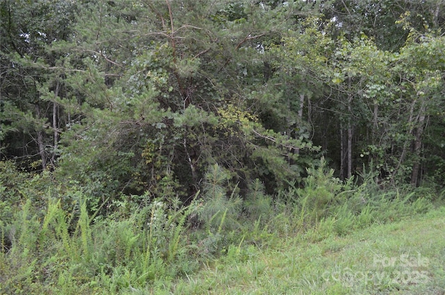 0 Old Morganton Rd, Union Mills, NC 28139 - photo 6