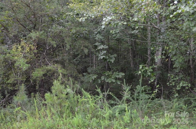 0 Old Morganton Rd, Union Mills, NC 28139 - photo 7