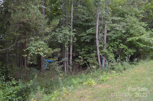 0 Old Morganton Rd, Union Mills, NC 28139 - photo 8