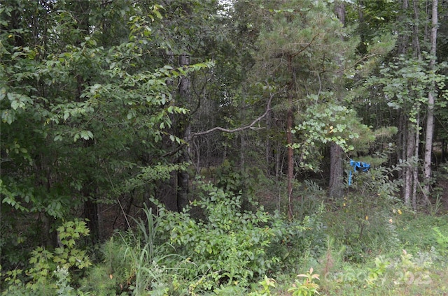 0 Old Morganton Rd, Union Mills, NC 28139 - photo 9