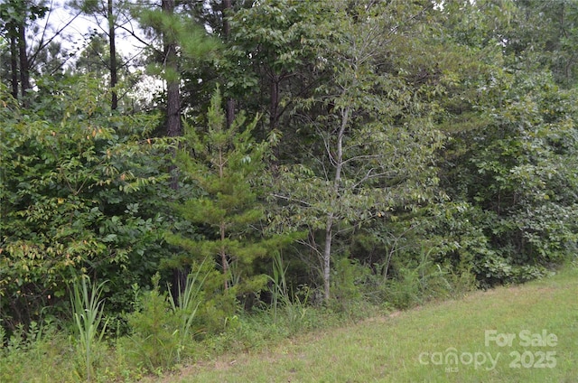 0 Old Morganton Rd, Union Mills, NC 28139 - photo 10