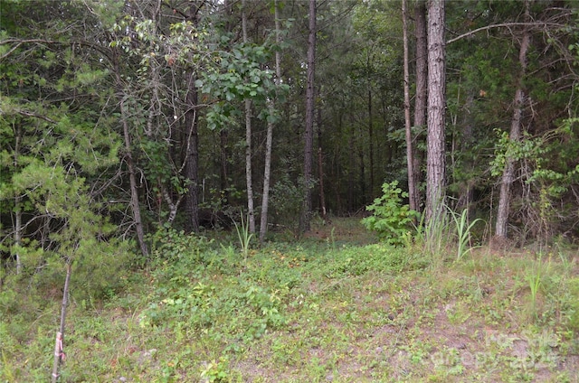 0 Old Morganton Rd, Union Mills, NC 28139 - photo 11