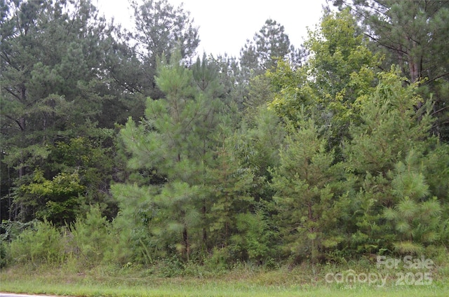 0 Old Morganton Rd, Union Mills, NC 28139 - photo 12