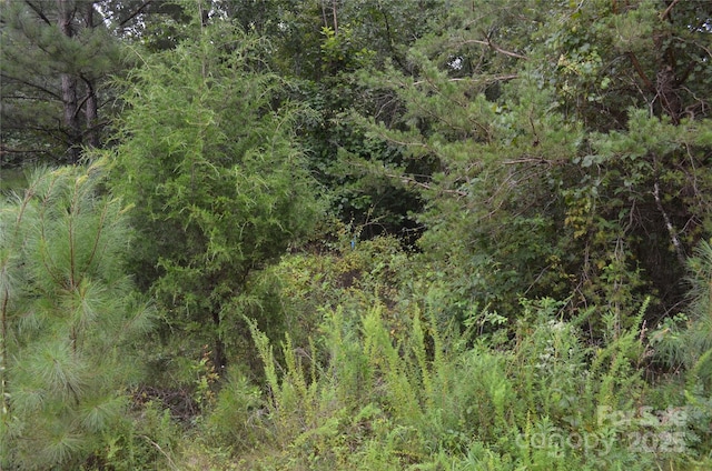 0 Old Morganton Rd, Union Mills, NC 28139 - photo 13
