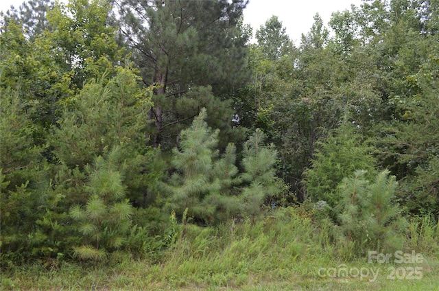 0 Old Morganton Rd, Union Mills, NC 28139 - photo 15