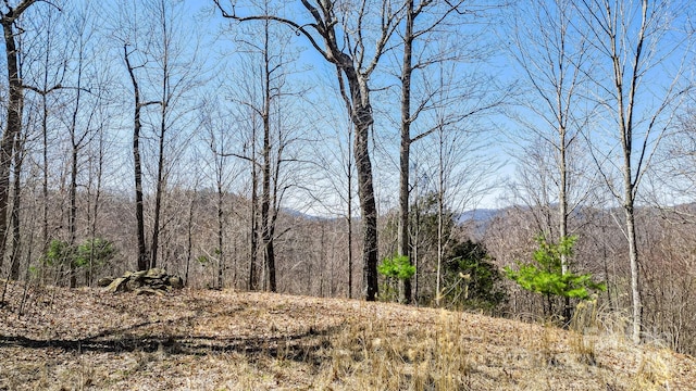 15 Our Way Dr, Mars Hill, NC 28754 - photo 1