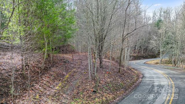 15 Our Way Dr, Mars Hill, NC 28754 - photo 2