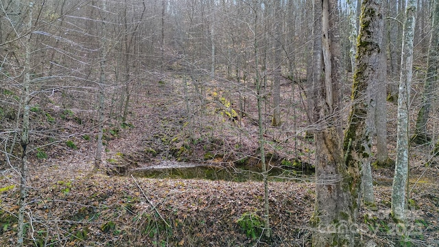 15 Our Way Dr, Mars Hill, NC 28754 - photo 3