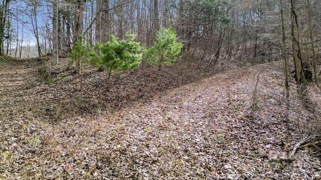 15 Our Way Dr, Mars Hill, NC 28754 - photo 5