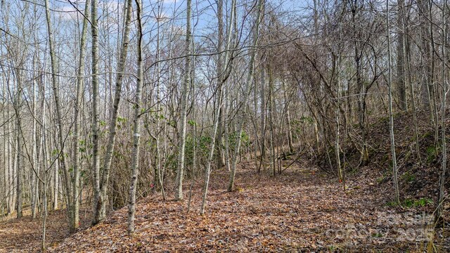 15 Our Way Dr, Mars Hill, NC 28754 - photo 6