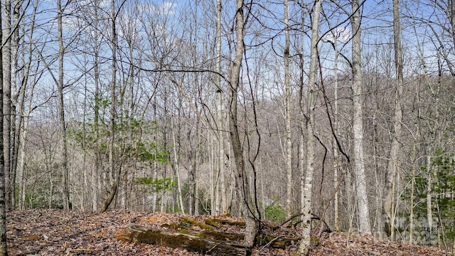 15 Our Way Dr, Mars Hill, NC 28754 - photo 7