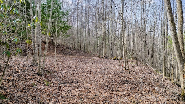 15 Our Way Dr, Mars Hill, NC 28754 - photo 8